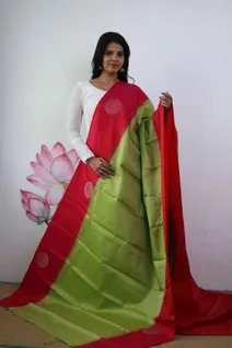 kanchi-lightweight-silk-saree-in-parrot-green-with-red-broad-border-sw00000401-a