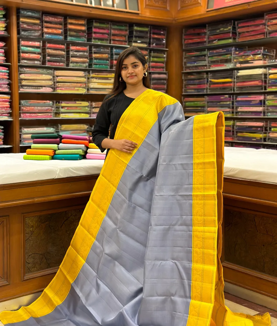 grey-and-yellow-pure-zari-kanchi-silk-saree-with-big-border-sw00000437-a