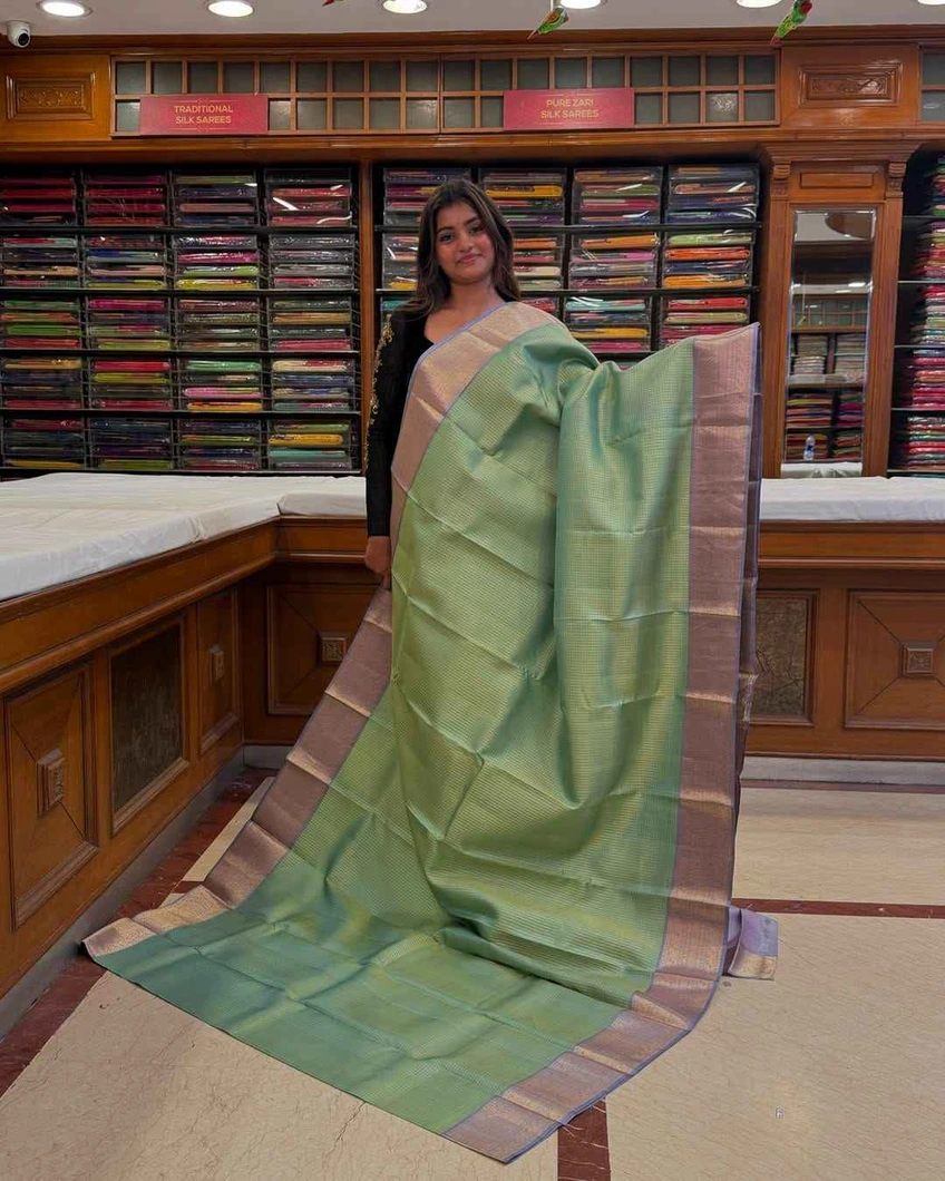 elegant-kanchi-silk-saree-in-pastel-green-and-gray-sw00000579-a