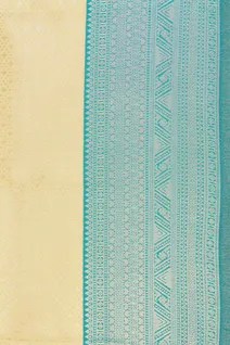 lime-yellow-with-turquoise-blue-semi-silk-saree-sw00000758-d