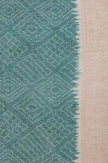 teal-green-soft-cotton-saree-with-subtle-brocade-print-sw00000871-d