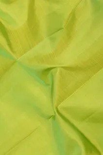 pure-kanchi-silk-saree-parrot-green-with-orange-violet-zari-border-sw00000921-c