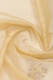 beige-semi-tussar-saree-with-mirror-work-sw00000989-c