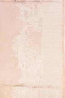 pastel-peach-tissue-saree-with-subtle-zari-shine-sw000001132-d