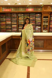 pastel-green-tissue-saree-with-parrot-motif-pallu-sw000001181-b
