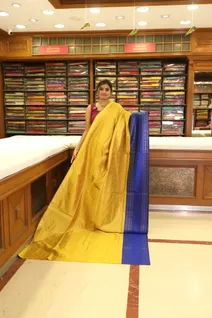 semi-tussar-saree-in-mustard-with-blue-border-sw000001194-a