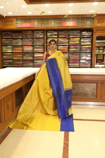 semi-tussar-saree-in-mustard-with-blue-border-sw000001194-b