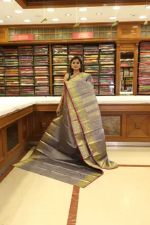 pure-zari-silk-saree-elegant-grey-with-golden-border-sw000001241-b