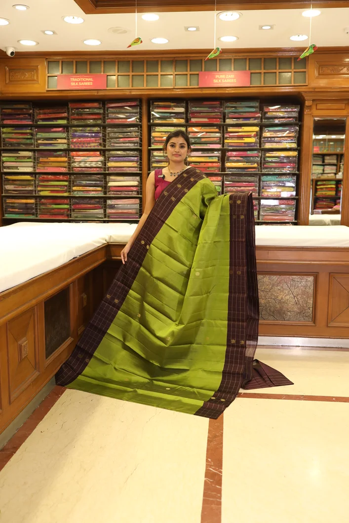 lightweight-silk-saree-in-leaf-green-with-coffee-brown-checks-border-sw000001274-a