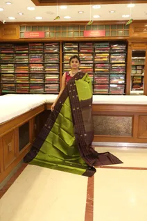 lightweight-silk-saree-in-leaf-green-with-coffee-brown-checks-border-sw000001274-b