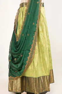 semi-stitched-green-tissue-lehenga-set-swl000001376-c