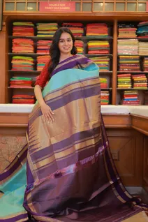 light-blue-lightweight-silk-saree-with-purple-rettai-pettu-border-sw000001528-b
