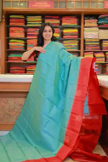 blue-tiny-checks-silk-saree-with-red-border-sw000001537-a