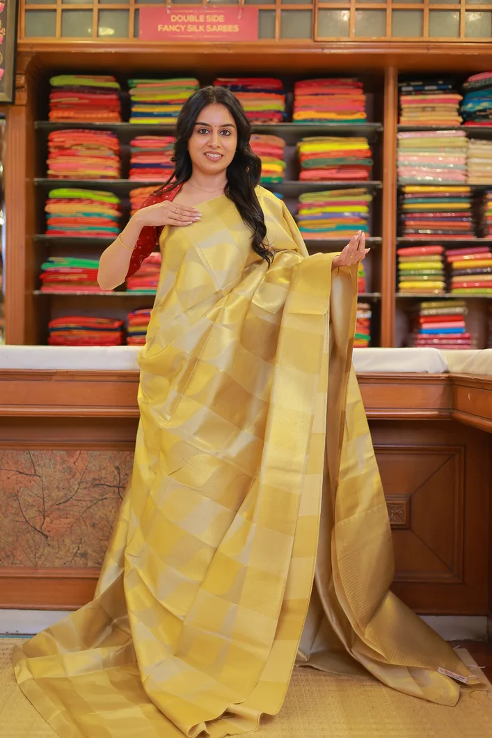 gold-semi-tussar-saree-with-geometric-pattern-sw000001568-a