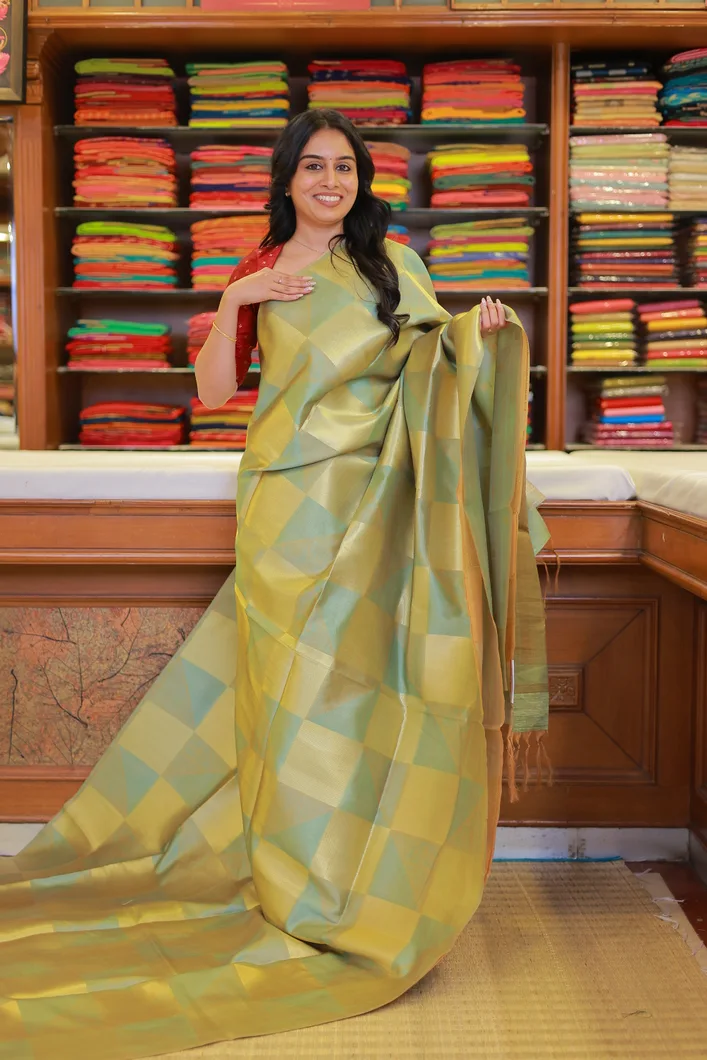 light-green-semi-tussar-saree-with-geometric-pattern-sw000001512-a