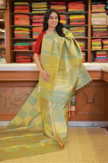 light-green-semi-tussar-saree-with-geometric-pattern-sw000001512-b
