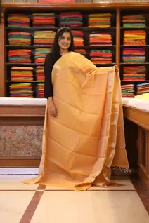 semi-silk-cotton-saree-sandal-with-tiny-checks-sw000001633-a