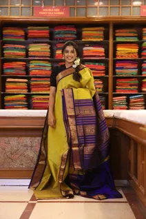 silk-cotton-gold-saree-with-navy-blue-border-all-over-zari-lines-sw000001675-b