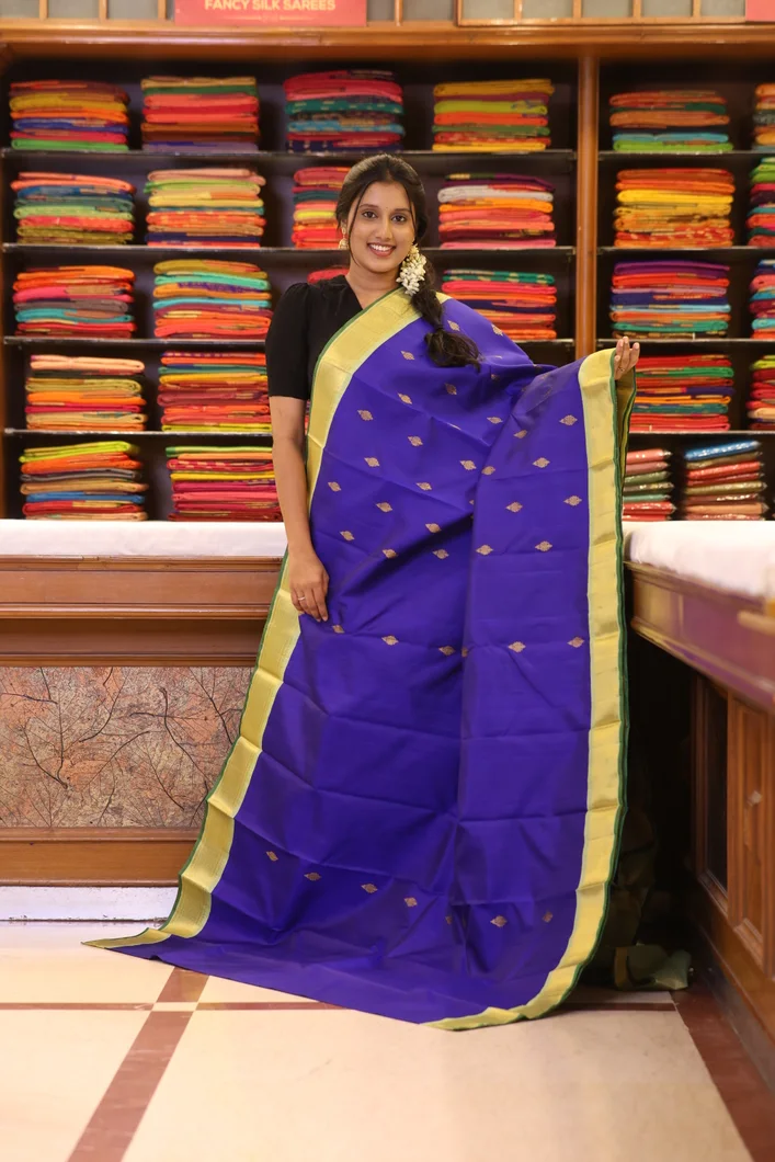 royal-blue-wiith-pista-green-pure-zari-kanchi-silk-saree-with-traditional-gold-motifs-sw000001693-a