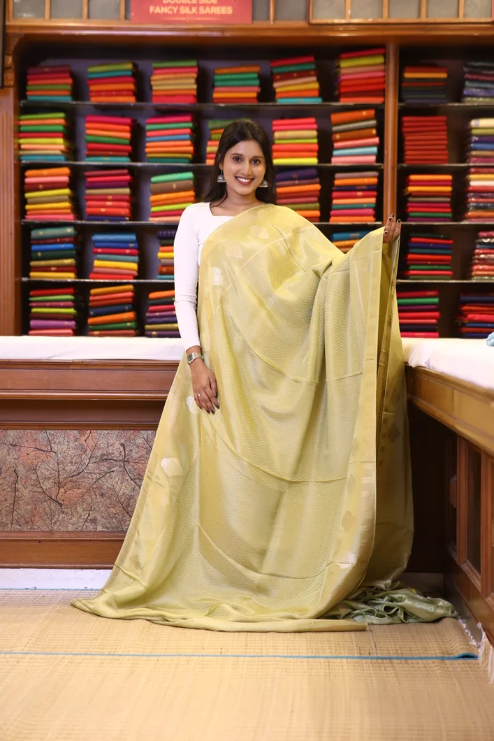 semi-banarasi-pista-green-elegance-sw000001732-a