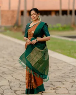lightweight-silk-brown-green-vanasingaram-elegance-sw000001768-a