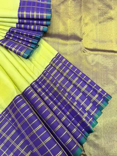 pure-kanchi-silk-saree-in-pista-green-with-blue-border-sw000001839-c