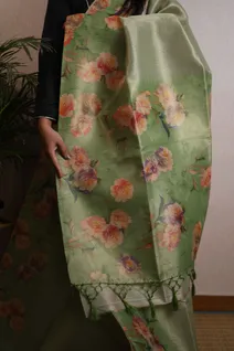 elegant-semi-tussar-silk-saree-with-light-green-floral-border-sw00000139-c