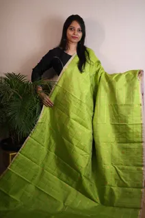 pure-zari-silk-saree-in-parrot-green-baby-pink-with-box-pattern-sw00000162-a