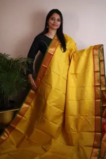 radiant-pure-zari-silk-saree-with-yellow-checks-sw00000165-a