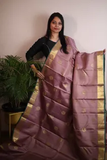 graceful-pure-zari-silk-saree-in-pastel-brown-with-vairaoosi-sw00000166-a