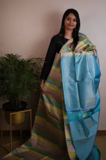 chic-lightweight-silk-saree-with-multi-color-and-alternative-lines-sw00000179-b