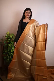 semi-silk-saree-in-cream-with-golden-sw00000100-a