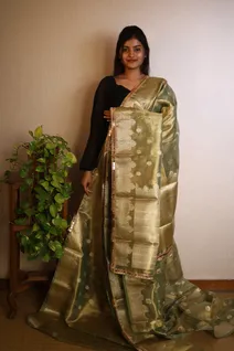 tissue-organza-saree-in-pastel-dark-green-with-golden-sw00000108-b