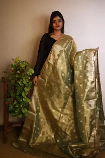 tissue-organza-saree-in-pastel-dark-green-with-golden-sw00000108-a