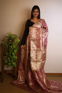 tissue-organza-saree-in-pastel-peach-with-golden-sw00000109-b