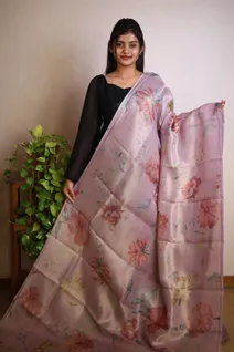 tissue-organza-saree-in-pastel-light-pink-floral-design-sw00000112-a