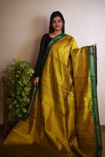 golden-yellow-with-dark-green-pure-tussar-silk-saree-sw0000066-a