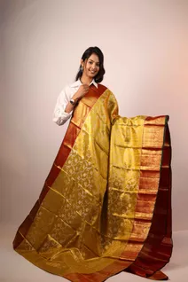 pure-tissue-silk-saree-in-gold-and-red-sw00000193-a