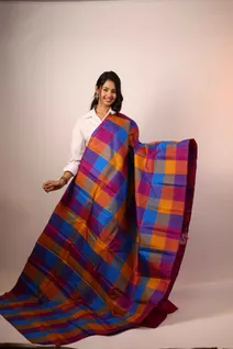 pure-zari-silk-saree-with-multicolor-checks-sw00000195-a