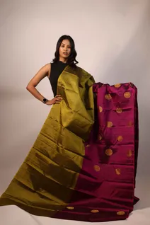 pure-zari-saree-in-mehandi-and-purple-half-and-half-design-sw00000209-a