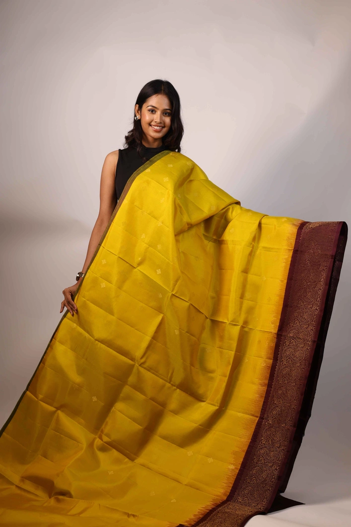 lightweight-silk-saree-in-yellow-and-brown-sw00000225-a