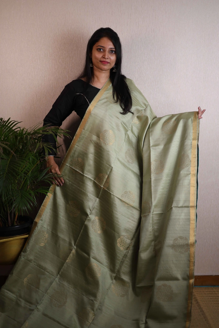 charming-pista-green-and-turquoise-blue-silk-saree-sw00000184-a