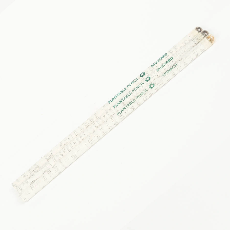 plantable-pencil-pack-10-dsw00021-b
