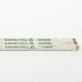 plantable-pencil-pack-10-dsw00021-e