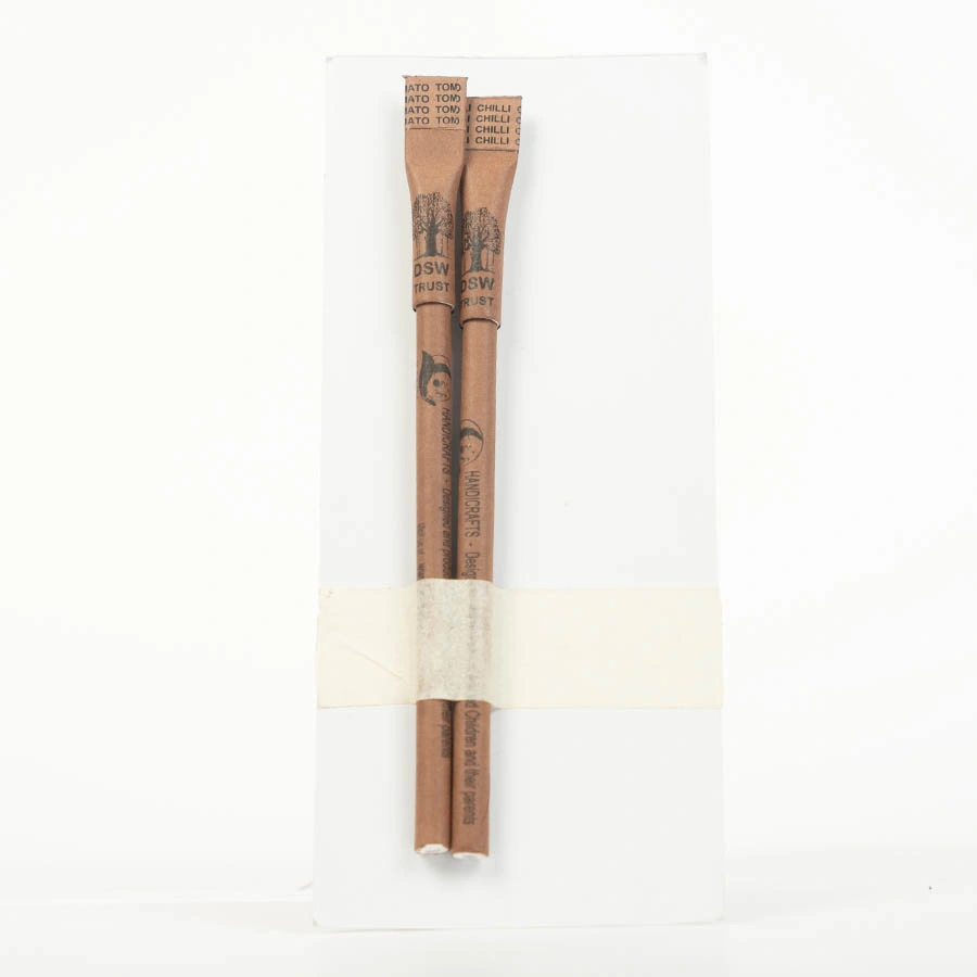 pen-with-seed-pack-10-dsw00022-a