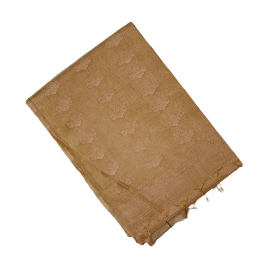 lenin-brasso-00535-a