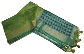 chanderi-emboss-00672-b