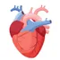 Adulterated items can affect your heart
