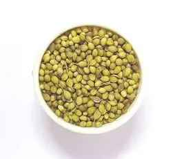raachi-dhaniya-powder-100gram-jar-pack-00a0000000000000000000000000000000000000000000000000000000000000000000000000000000000000000000000000067-b