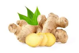 raachi-organic-ginger-powder-ginger-powder-jar-pack-100-grams-ggp1-b